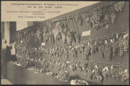 Congrés-Exposition d'Agen (Lot-et-Garonne) 24 et 25 Août 1925. Collection Alexandre TACUSSEL, à VAUCLUSE (Vaucluse). Mille Variétés de Vignes 